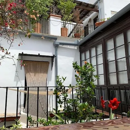 Typical Andalusian House S Xvii 度假居 *