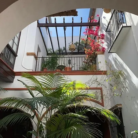 Typical Andalusian House S Xvii *